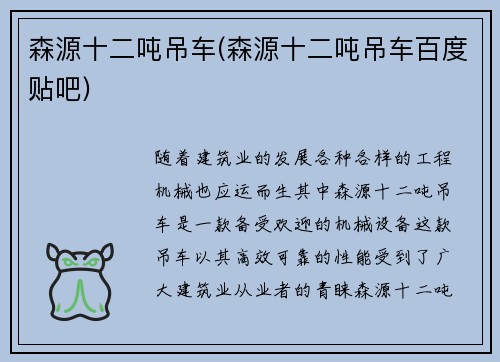 森源十二吨吊车(森源十二吨吊车百度贴吧)